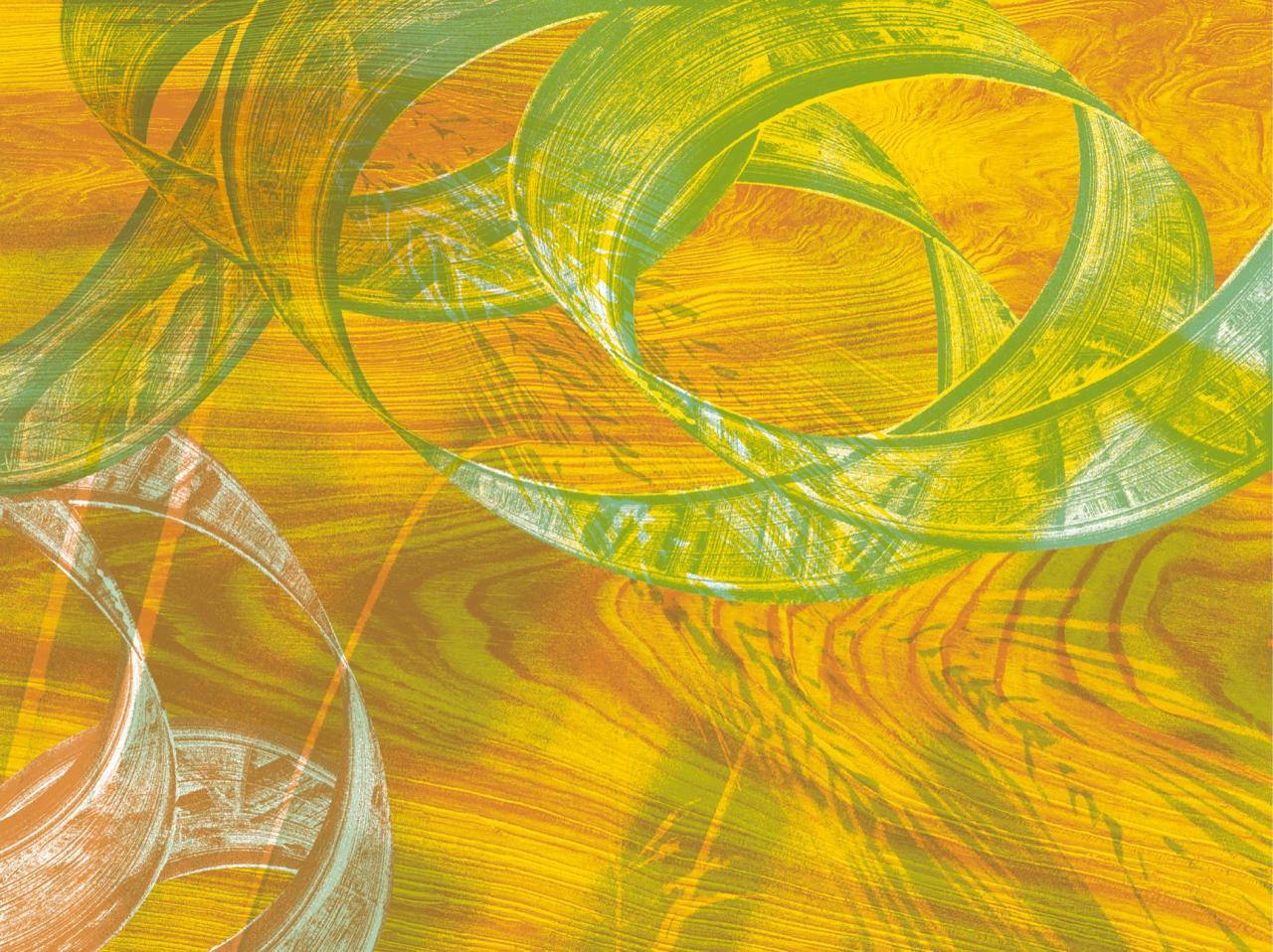 Verdieping #02 — Duurzaam bouwen, wat houdt ons tegen? | 2024