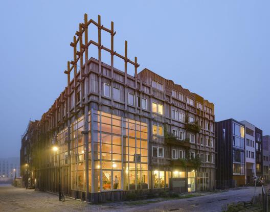 Foto uit "Architectuur van Wooncoöperaties": De Warren, Nederland (Foto: Boris Zeisser)