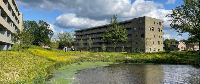 Stadsgesprek #3 Waalwijk
